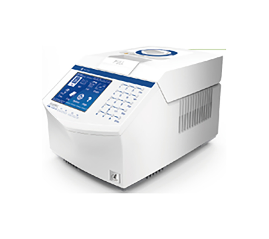 B960 PCR
